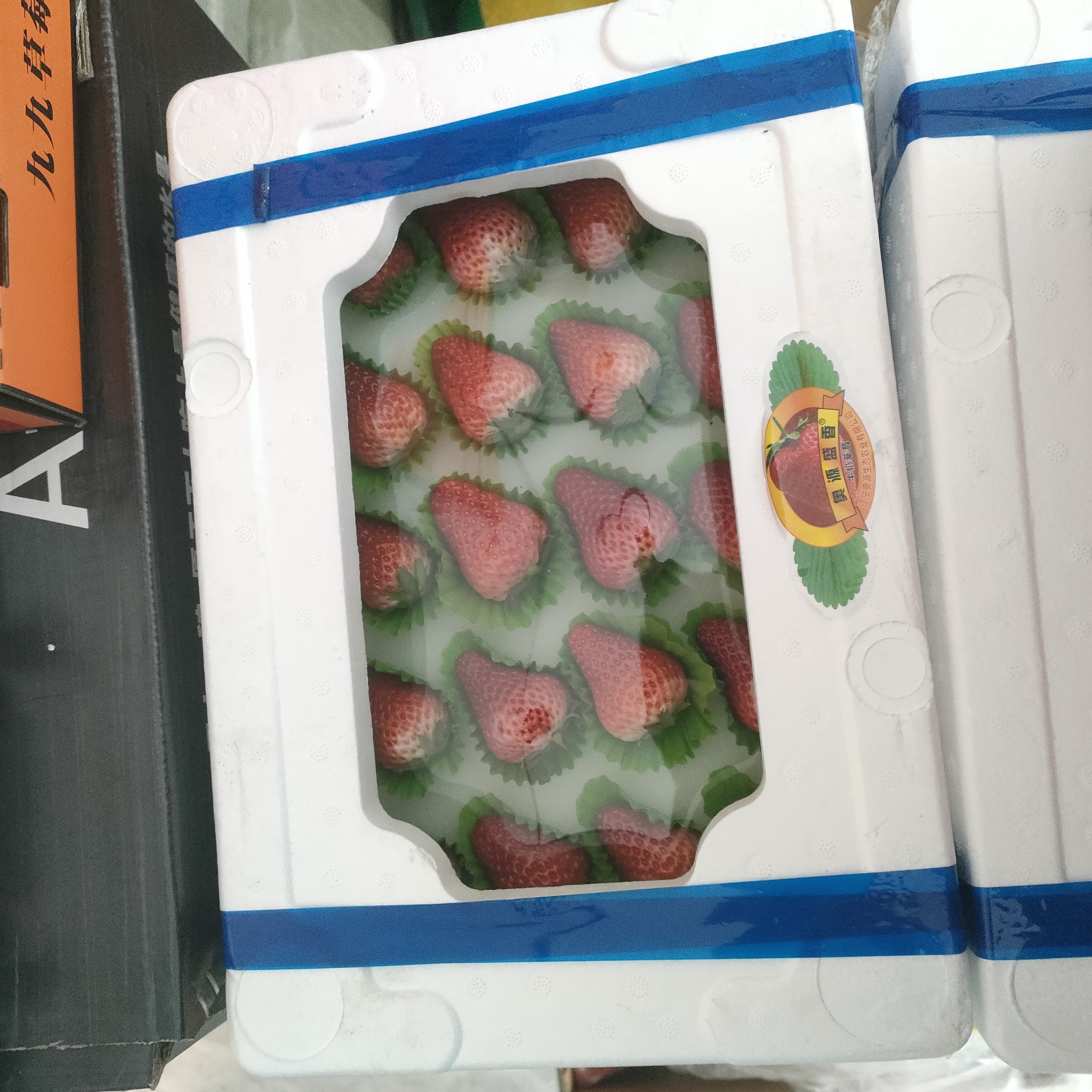 奥源丹东九九草莓红大天窗24颗草莓1.5斤