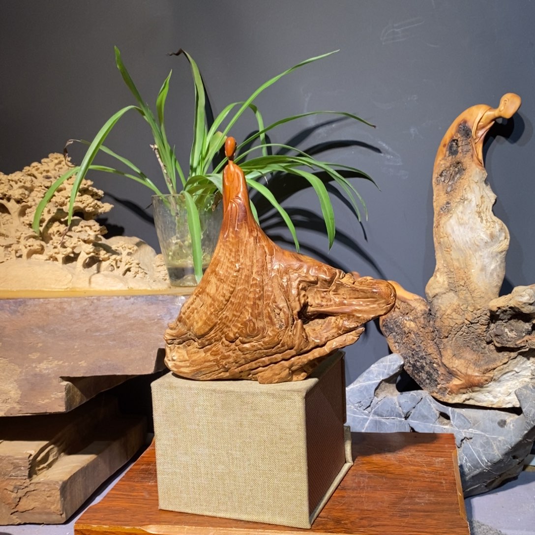 柏木太行12888999966