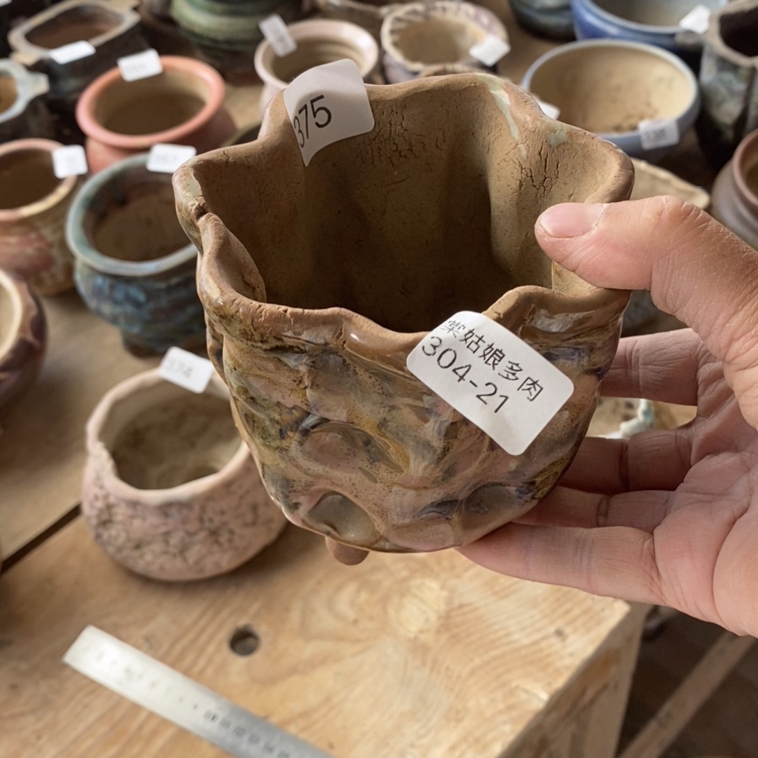 红陶敏*21号多肉盆一个呀