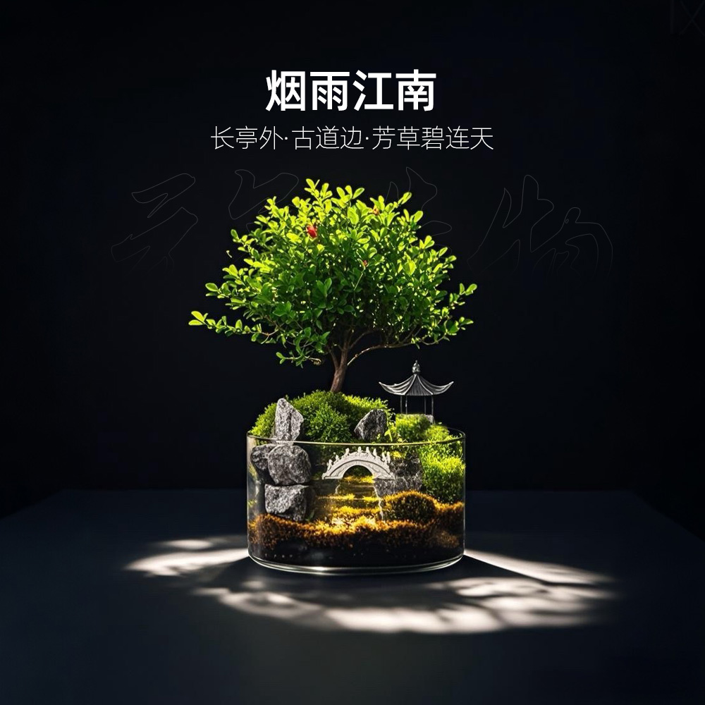 【鹤隐】悬亭—带小灯小叶赤楠绿植造景成品真植物【尺寸：15*8】