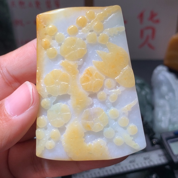 翡翠未镶嵌颈饰保真天然A货翡翠