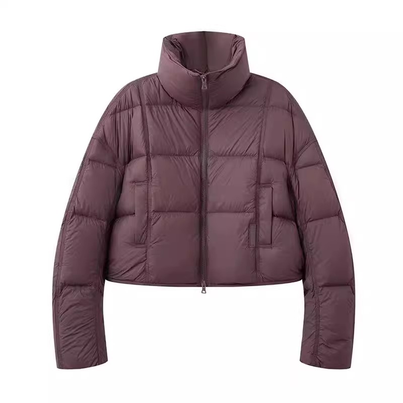 艾家商场同款2025年冬季新款时尚立领长袖短款羽绒服外套女4143