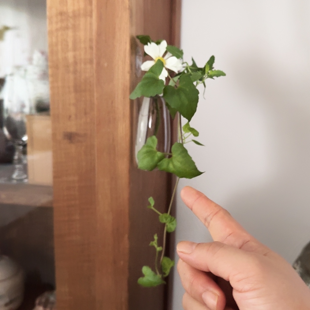 日本高端器皿器皿