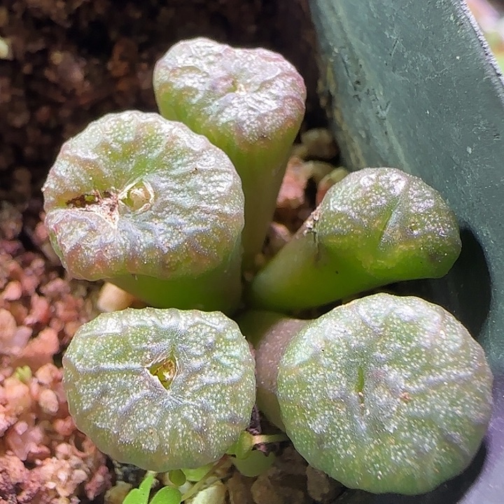 哈哈哈哈哈哈哈。 873