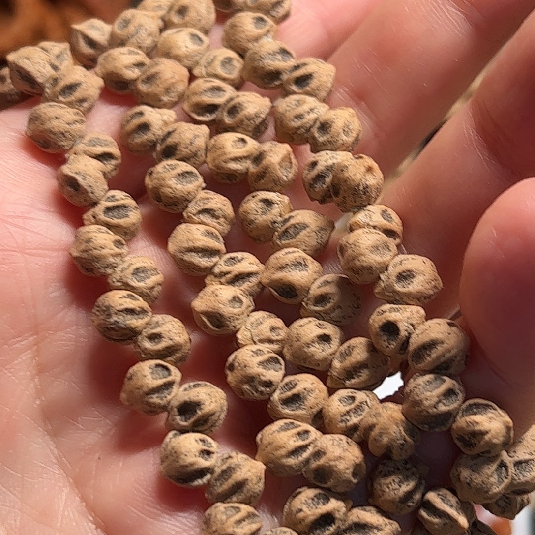 Y***柏香籽/百香籽手串