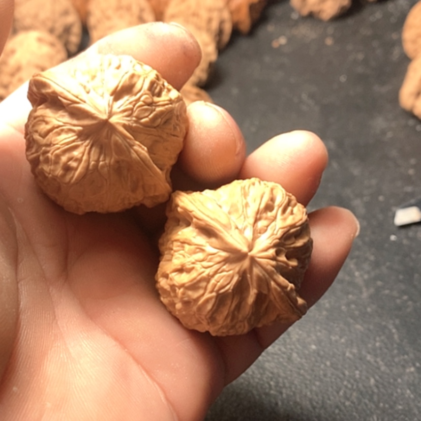 【闪购商品】任*行南瓜