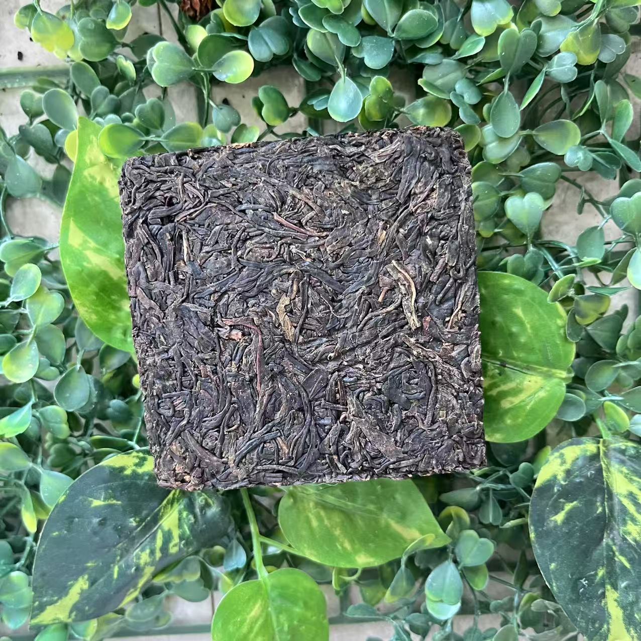 雨腾古茶 T紫+ “吴氏：8301” G之万J 紫芽砖200g/砖 生茶（5月11）