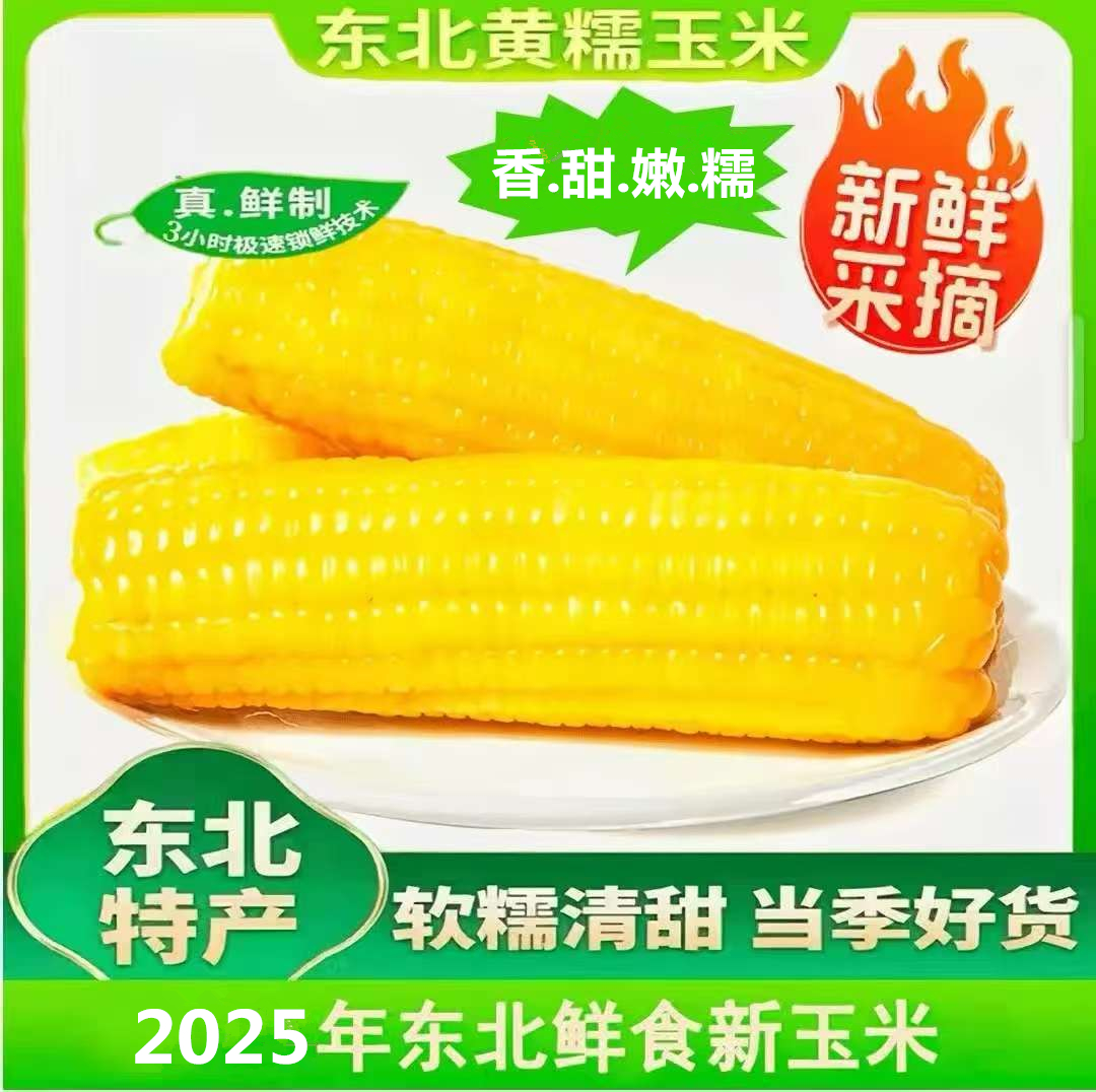 北纬48°黑龙江讷河：甜糯玉米/小棒玉米