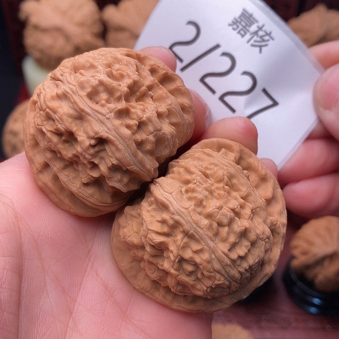 文玩核桃把件43白狮子老树红皮