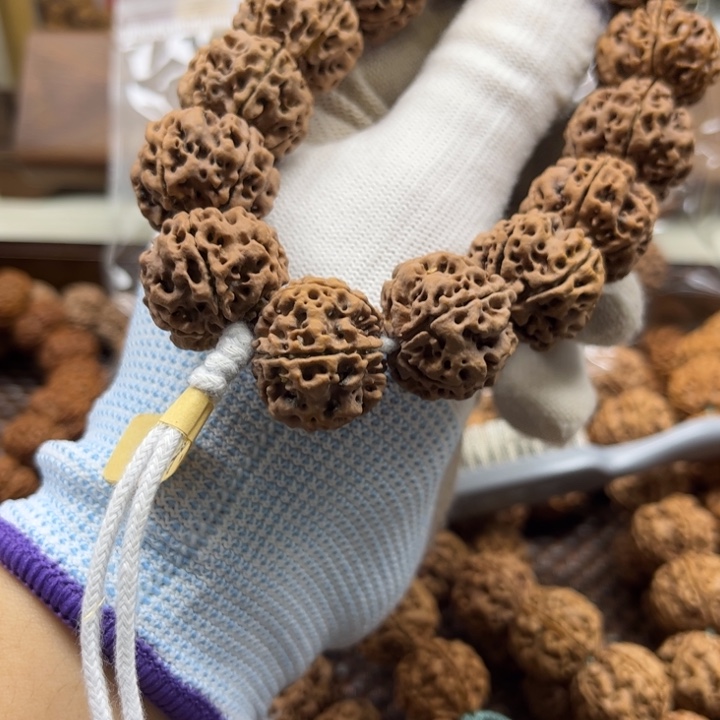 G***。手串金刚菩提22粗筋安娜梅花双龙原生态货头