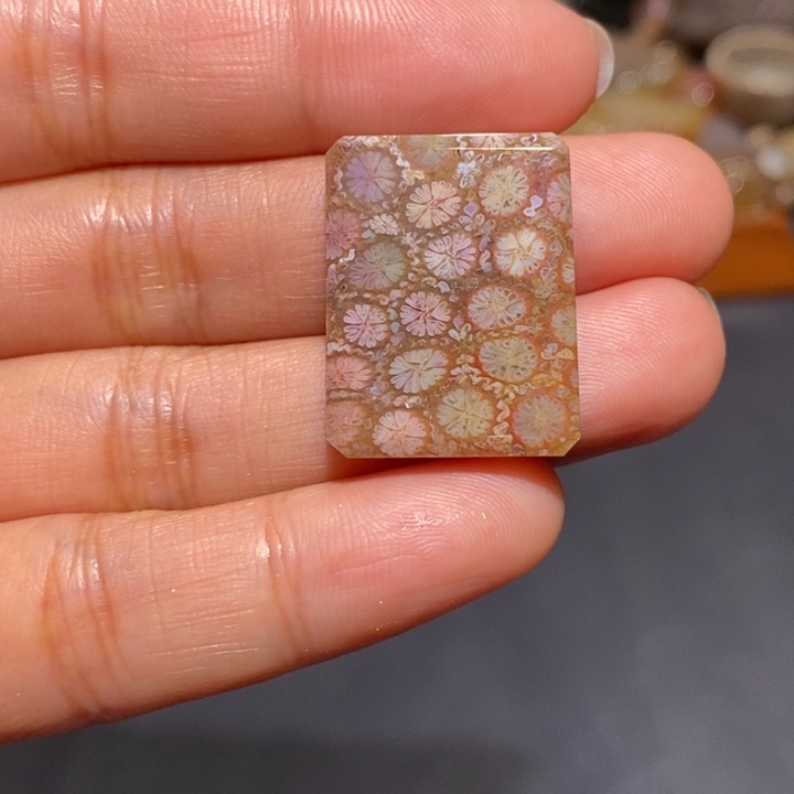 【闪购商品】未镶嵌珊瑚玉硅化玉