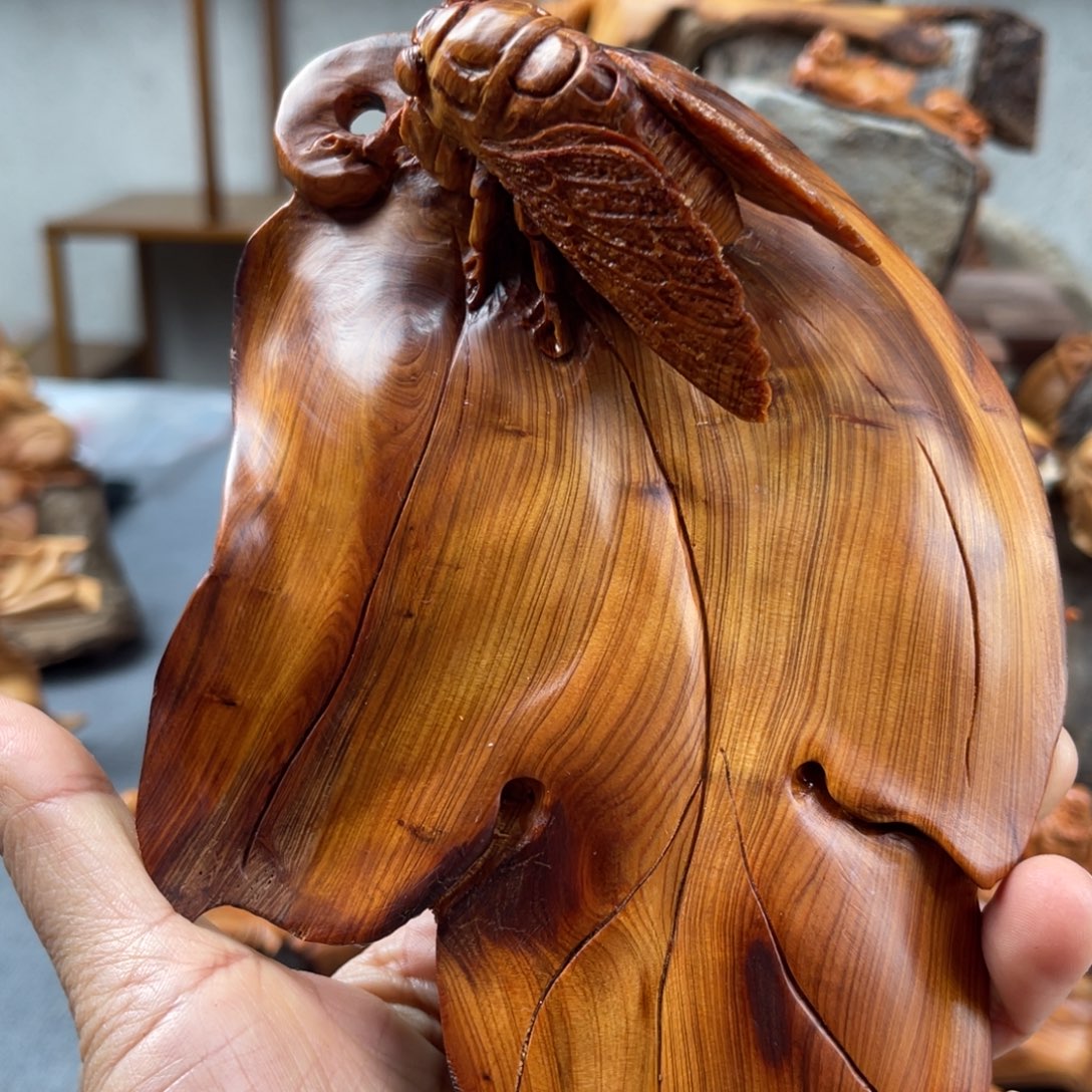 有***贝柏木（崖柏）崖柏太行山脉