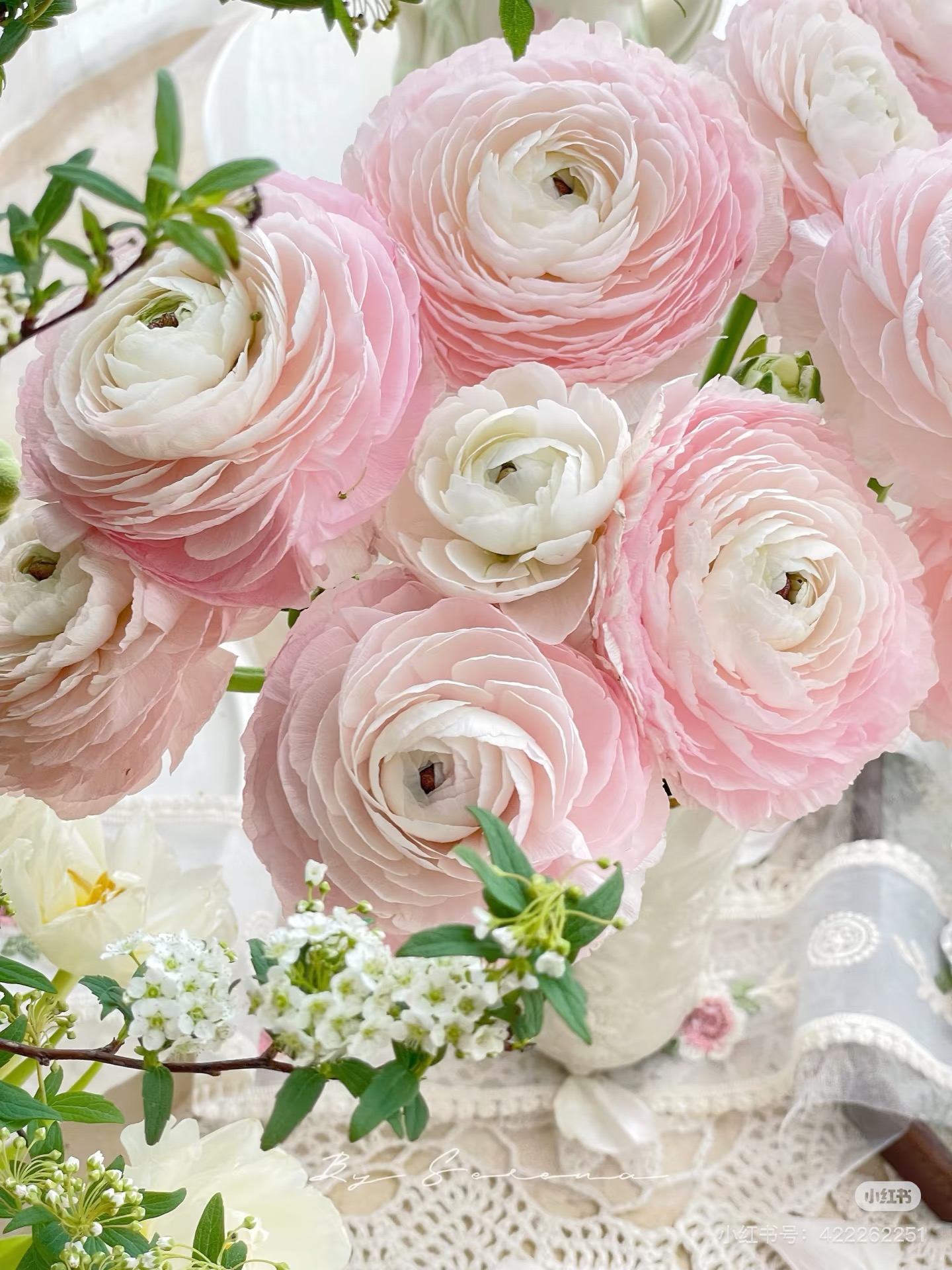 【董小姐】心跳回忆洋牡丹进口超级洋牡丹