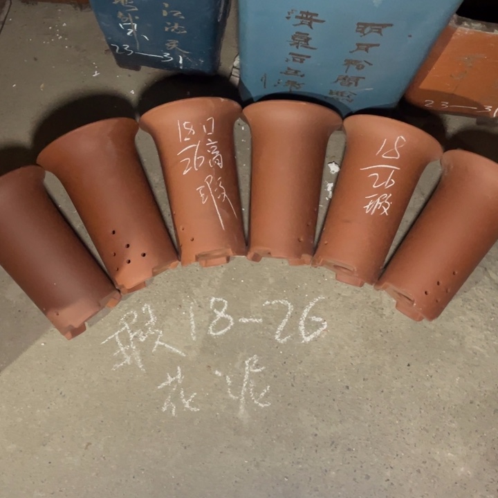 这是真实真实真真真是 