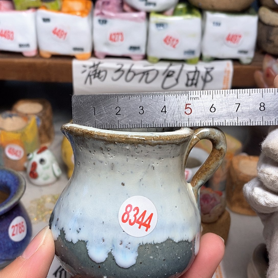 红陶拍5送一个小