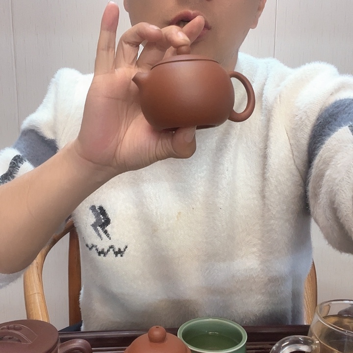 紫砂茶壶紫泥西施