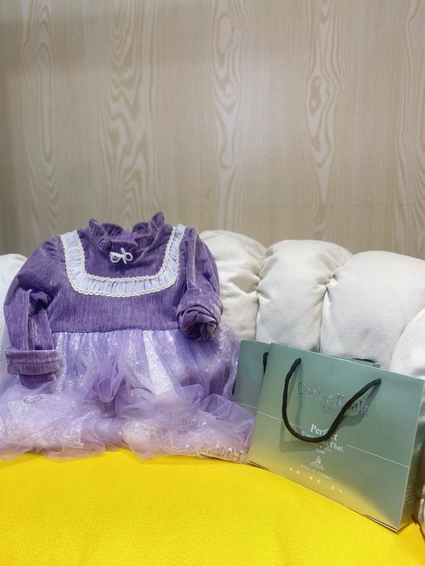 珍姐家（内）儿童连衣裙860货号