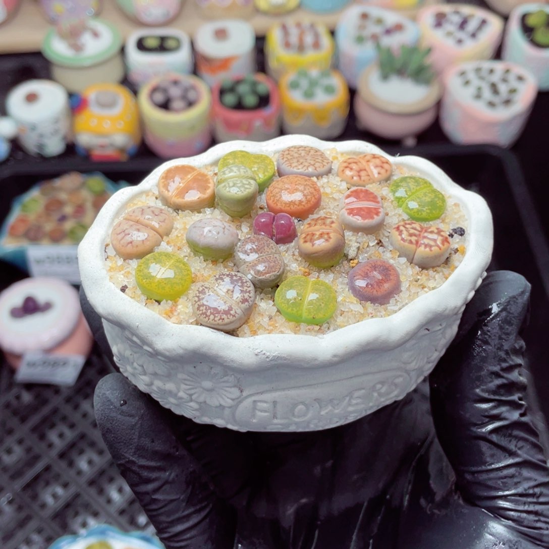 w9895--带盆土发货，零下地区拍保温箱