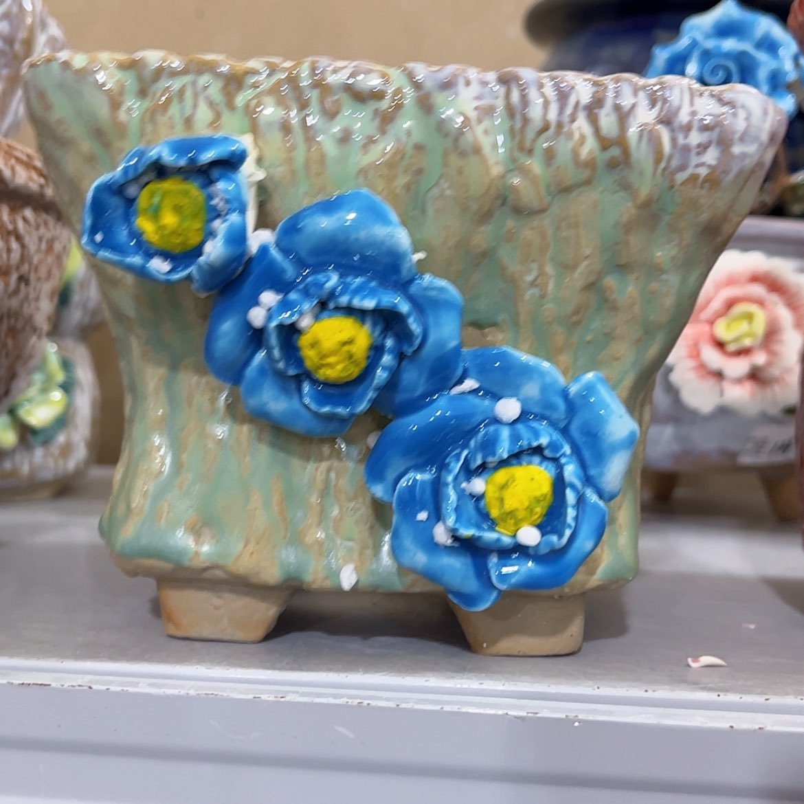 【闪购商品】红陶福利