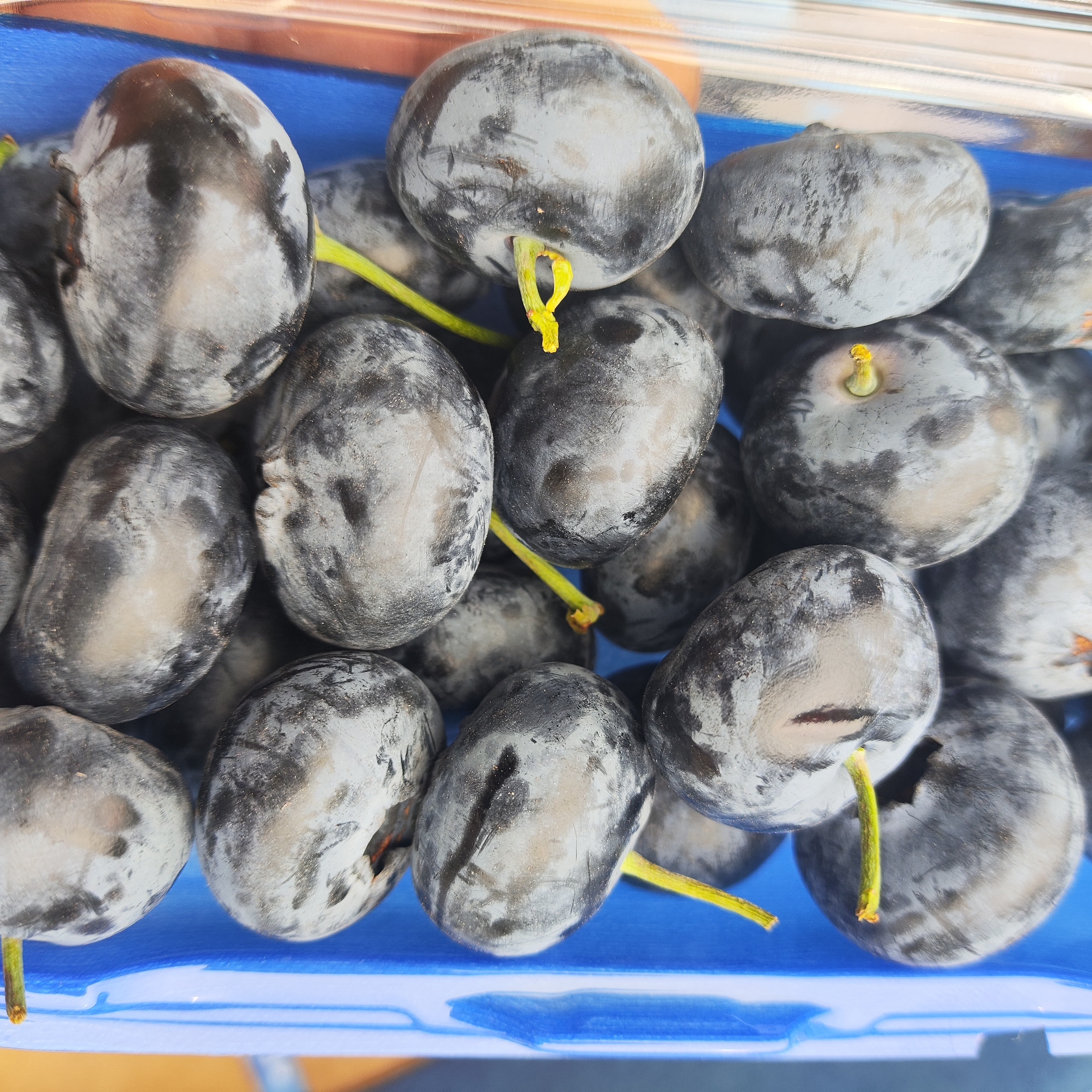 花香脆甜大颗粒云南蓝莓370g起果径15mm起