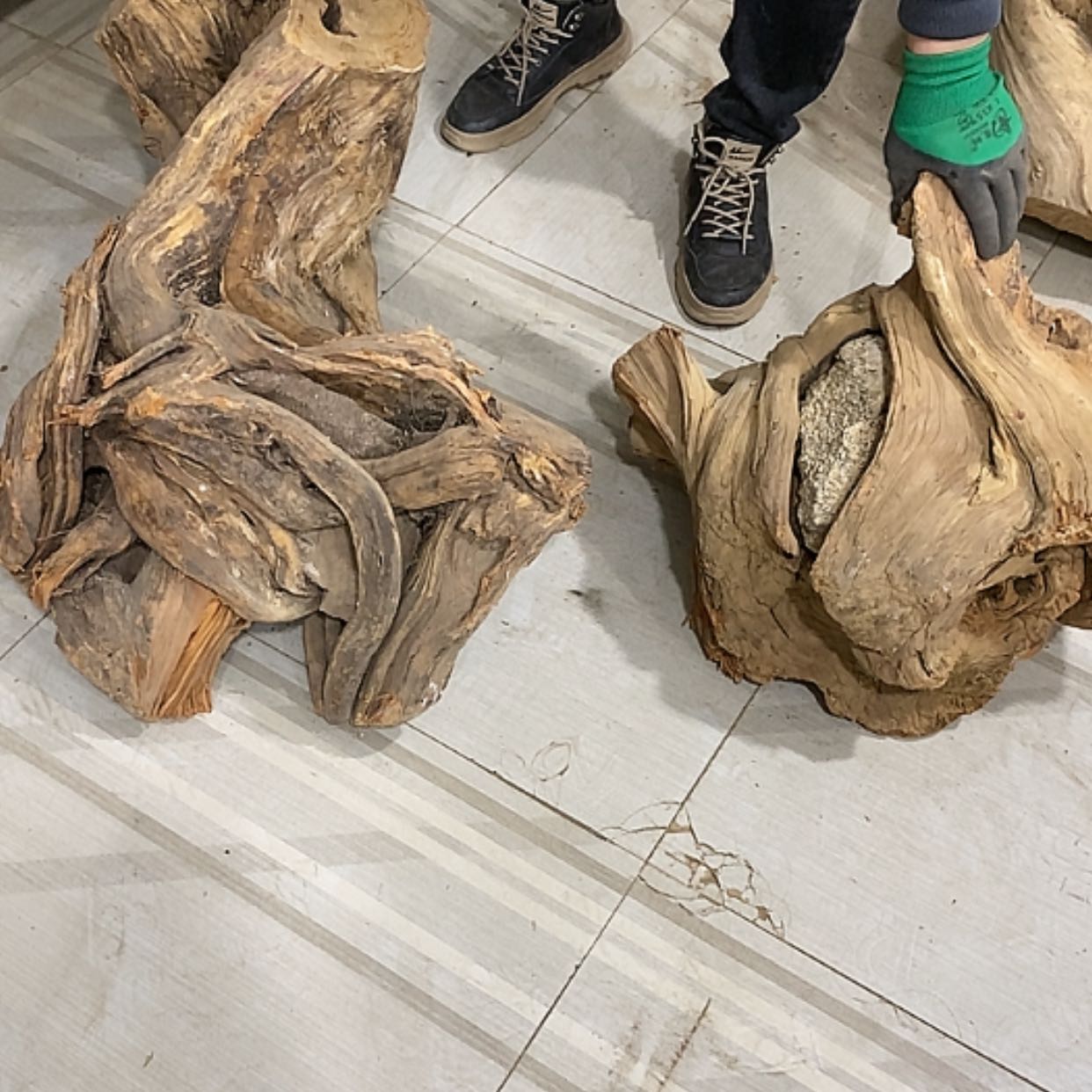 【闪购商品】柏木生**态我们都是好孩子