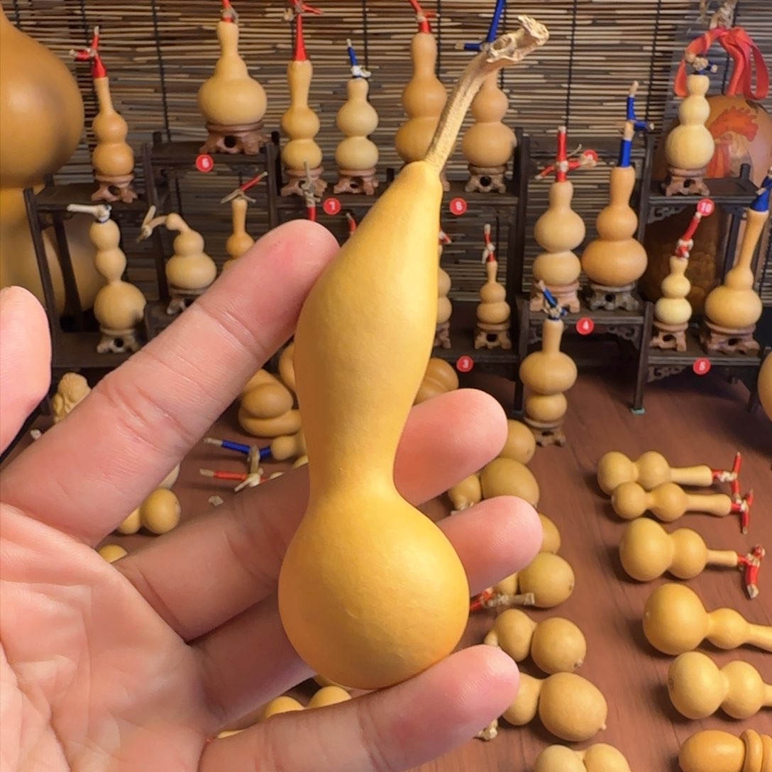 本捻葫芦…………………………