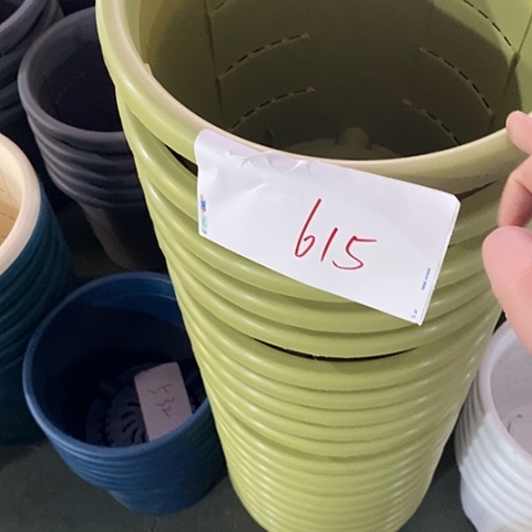 编号615特价5个无托