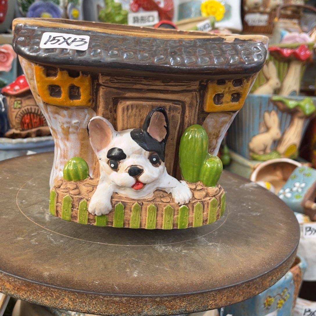 凑满15包邮发货发货