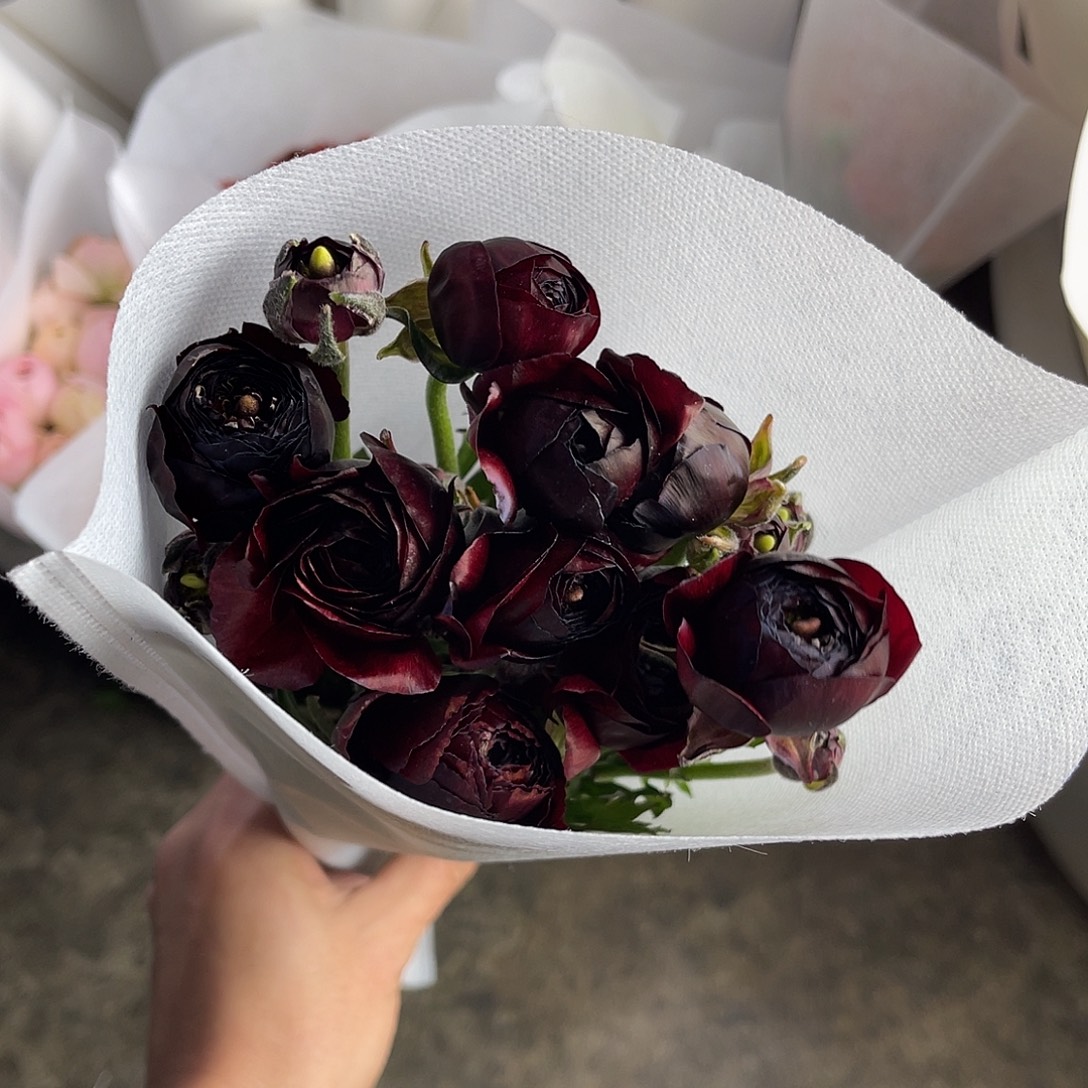 完全开放洋牡丹（黑天鹅）一扎