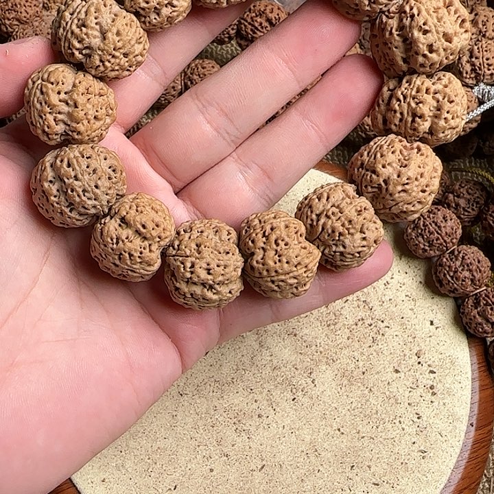 金刚菩提手串再*首金刚