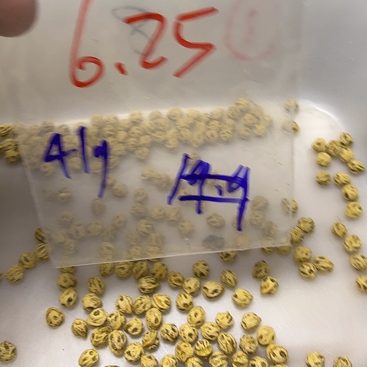 柏香籽/百香籽吊坠咸*。