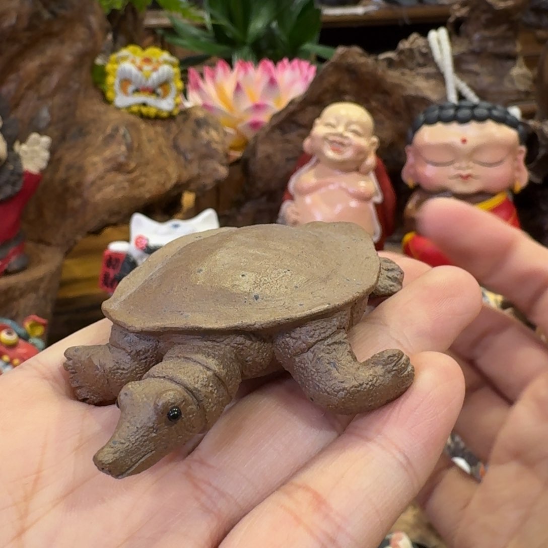 陶瓷呀呀呀呀呀呀呀呀