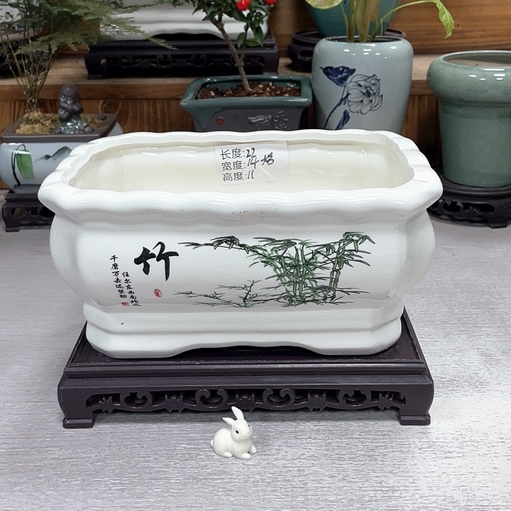 陶瓷花盆抢购福利