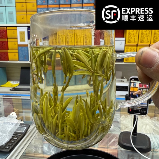 【福利】2025浓香毛峰 （M299）明前特芽耐泡型 速卖款