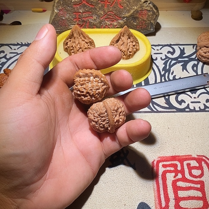 双***虎全品没修野生无名一对