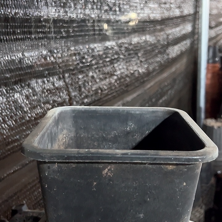 塑料口径17.5 高度12 一组10个