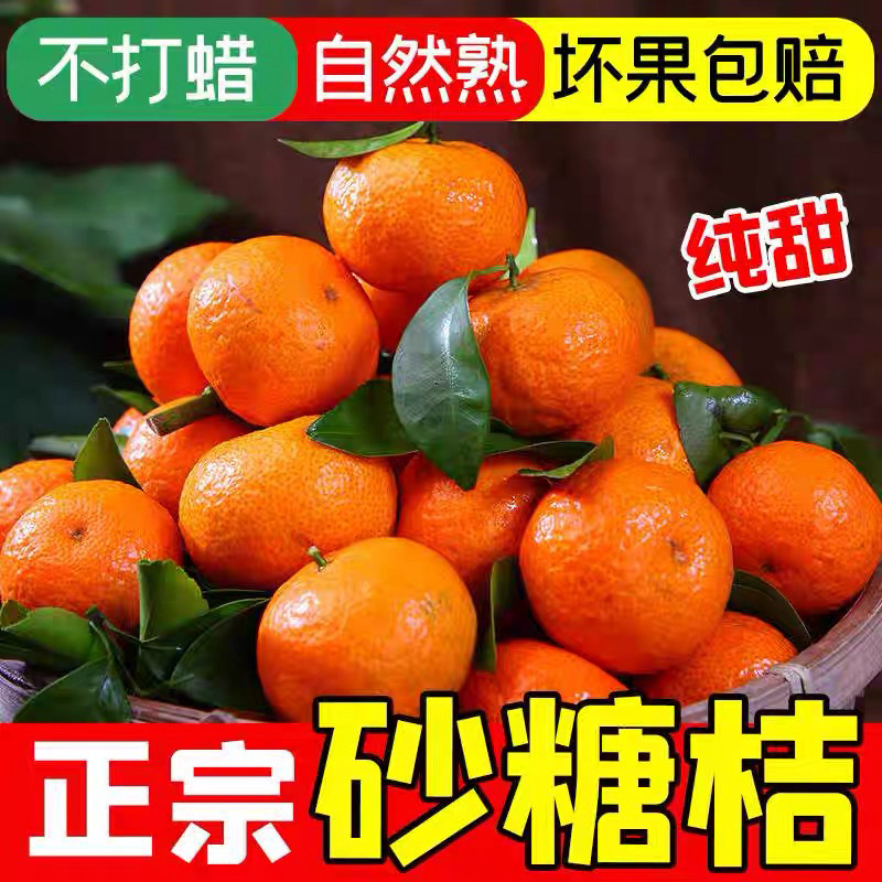 正宗广西砂糖桔沙糖桔新鲜现摘先发应季水果超甜多汁皮薄桔子柑橘