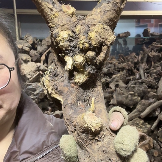 香榧木阳**帆火琉璃的毛料摆件