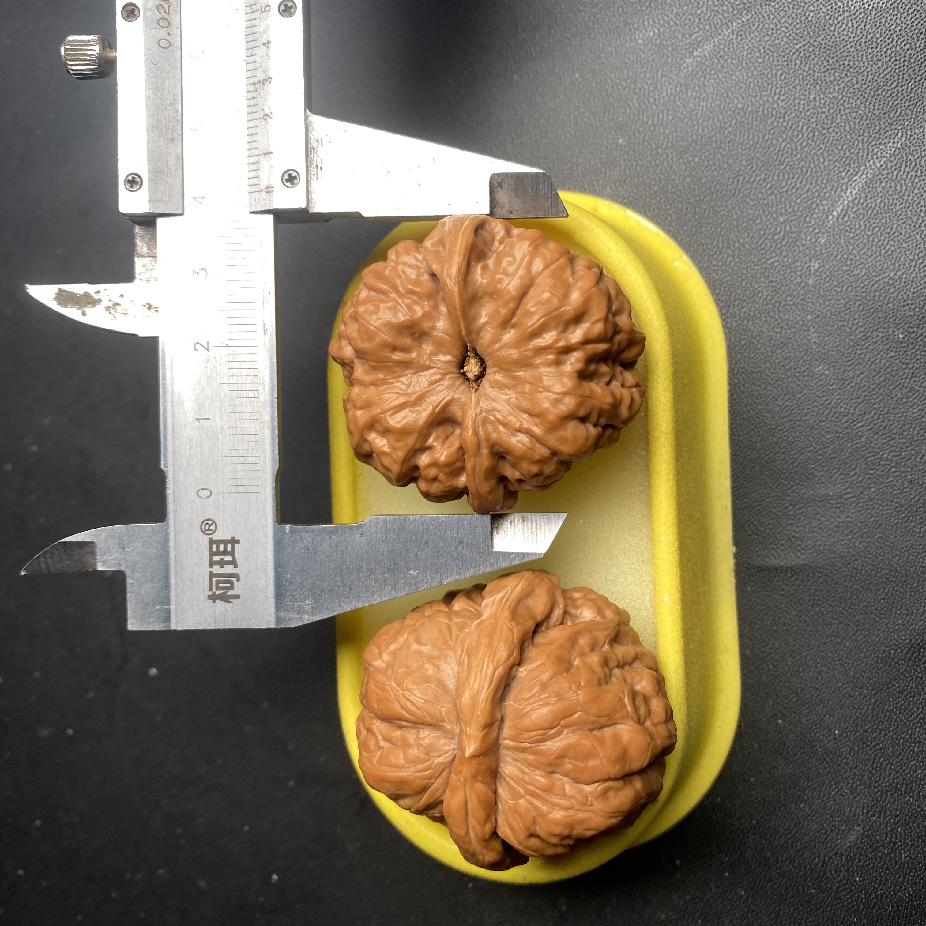 41尺头货蛤蟆头 尖微修