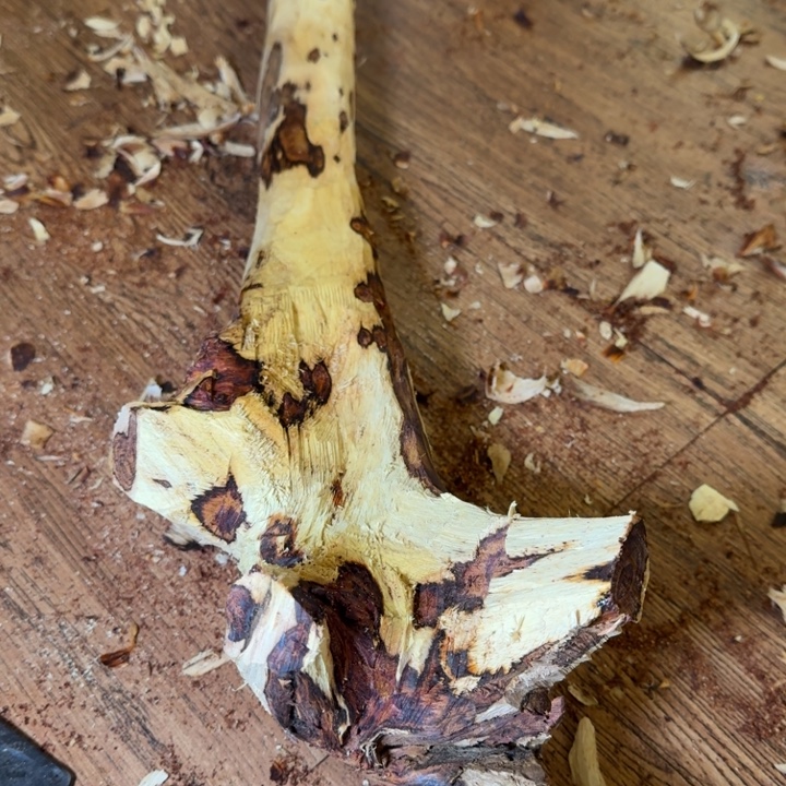 郸***城花梨木类海南，海北飞灰尘。甘受商于仪诳楚，岂真鹑首天赐秦