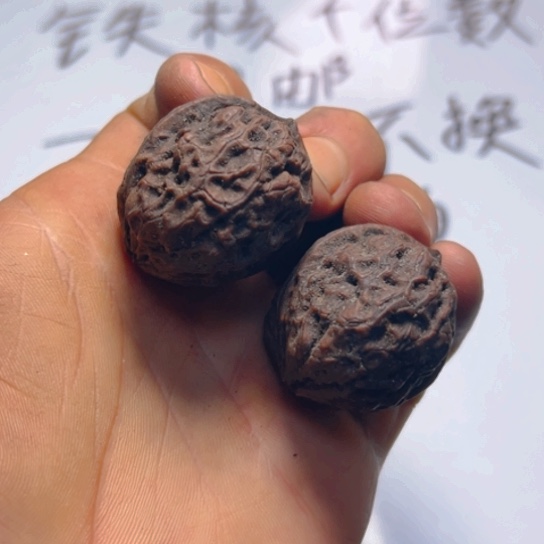 把件文玩核桃卡37火焰灵姬19号