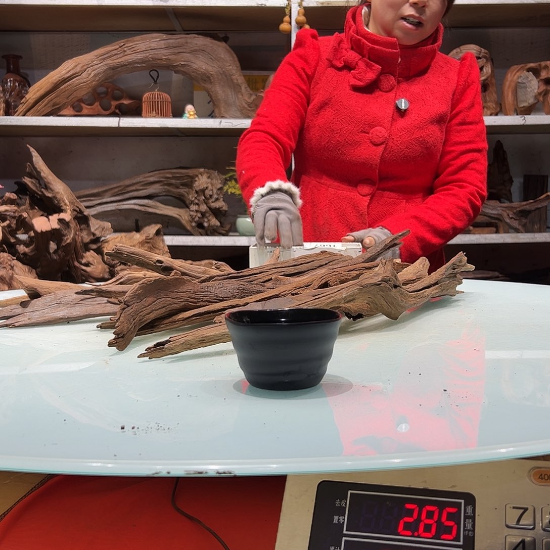 紫砂紫柚沉木凡***孩紫柚枝条1658