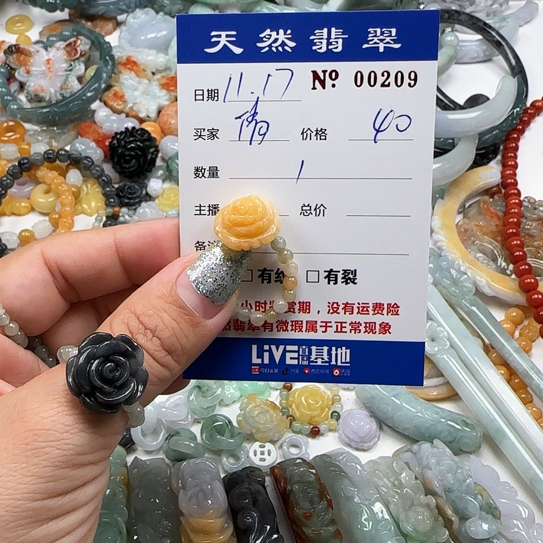 清***鱼翡翠未镶嵌颈饰555