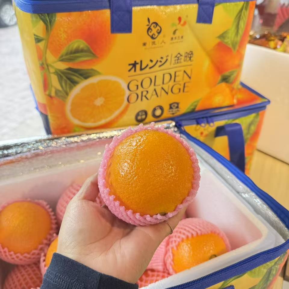 【达吾水果】蜜匠人.金晚橙手提礼盒装7.5起（骑手配送到家）