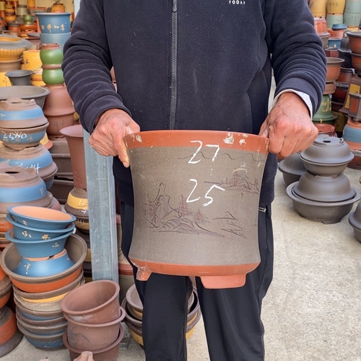 紫砂花盆盆栽花卉苗木种植