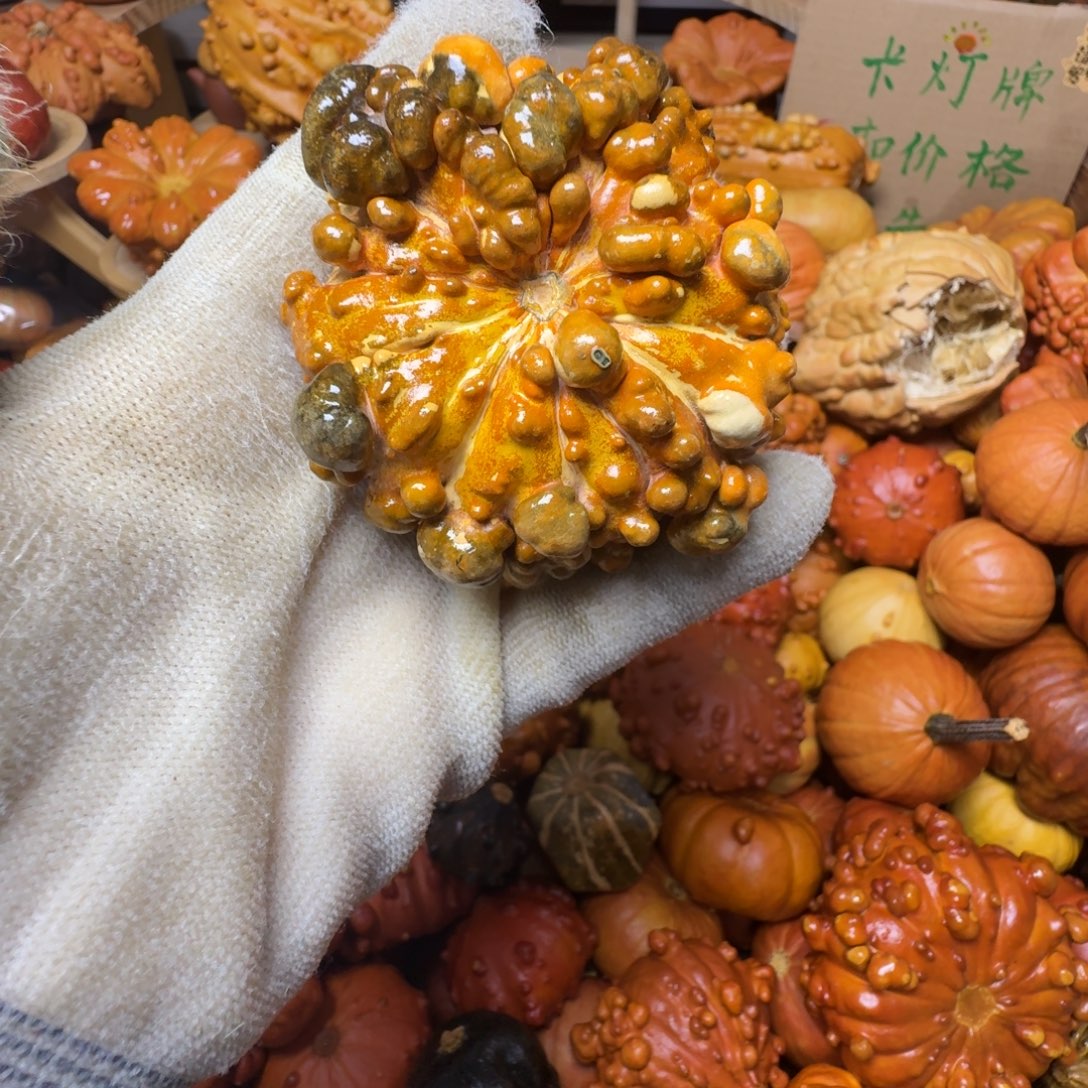 红***红特价原皮葫芦不退不换