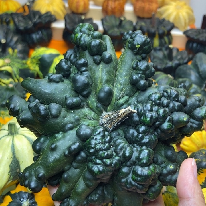 ?****?福利福利福利福利