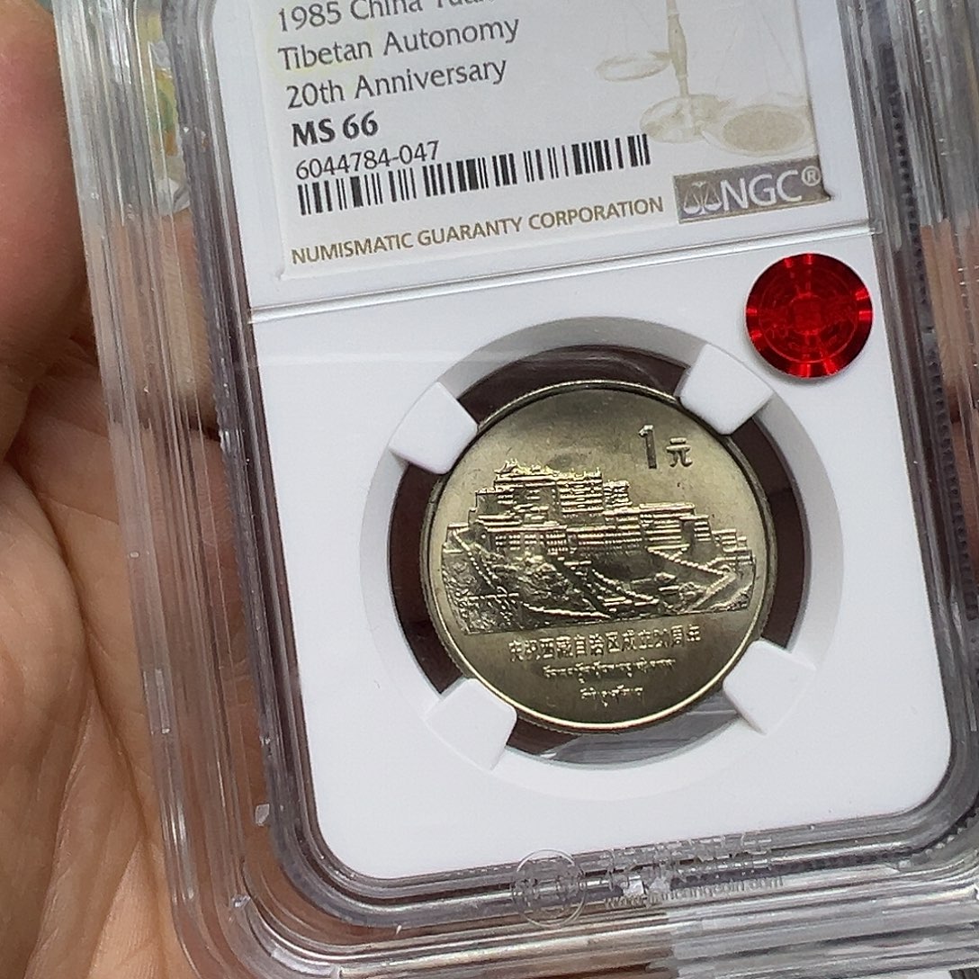 晖***杨其他普通金属老西藏远山评级66分铜标，047号