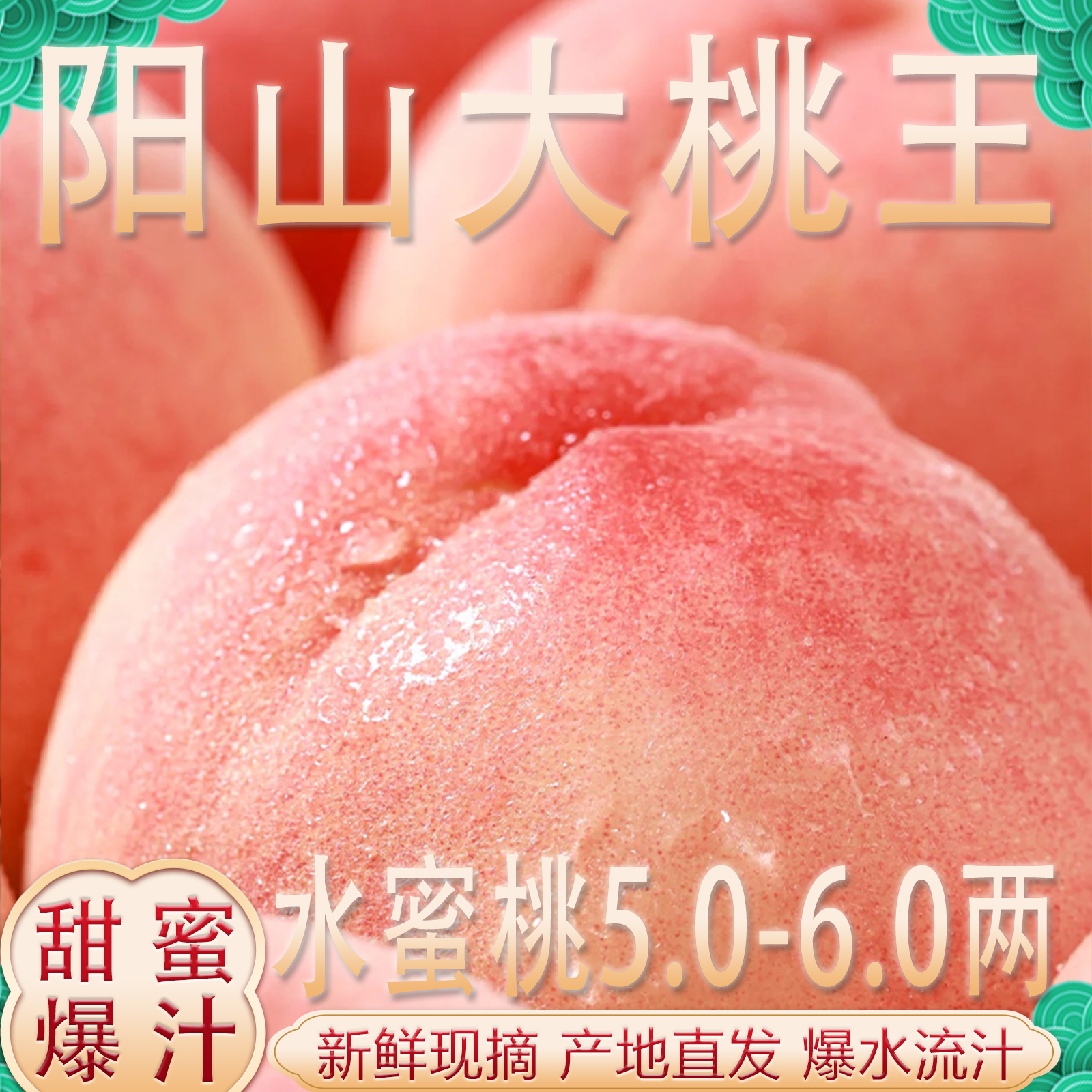 【白凤】太湖阳山官方直发6-5两【桃王】正宗阳山产地直发高端礼盒 W8