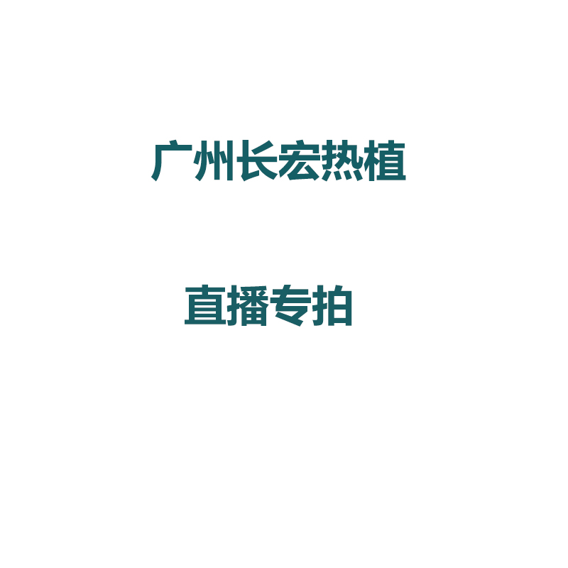广州发货 热植大棚 花烛类  特殊植物 会出现叶损 介意勿买
